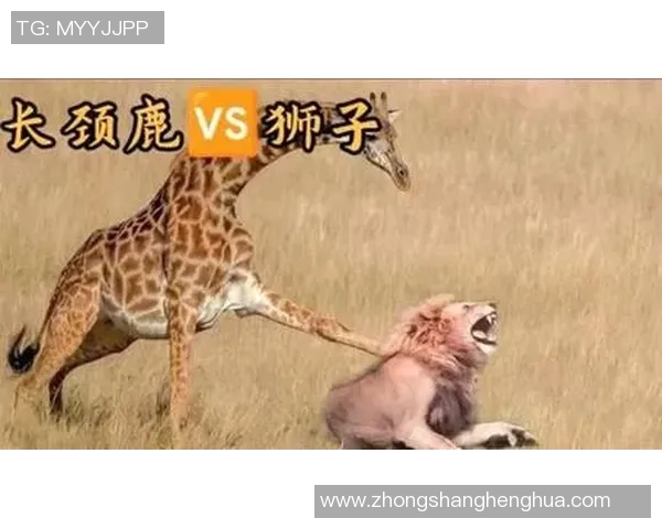 老虎大学与瓜拉达的精彩对决揭示了体育竞技的无限魅力与激情